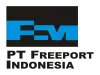 PT Freeport Indonesia